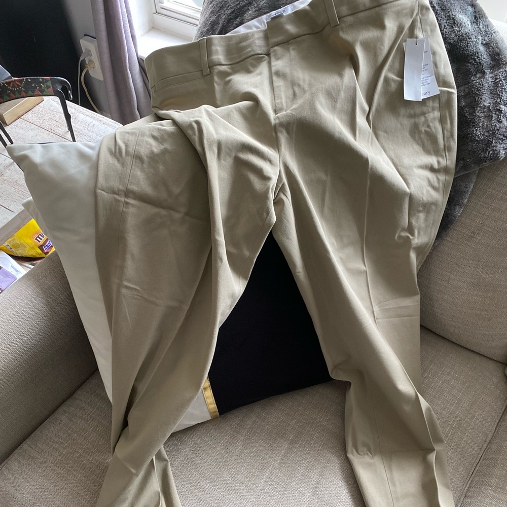 NWT Crown and Ivy chinos
